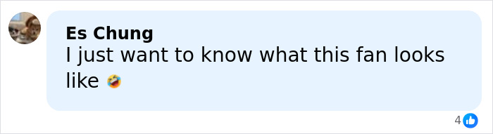 Screenshot of a social media comment expressing curiosity about a fan in a conversation related to Selena Gomez shaving mustache. Screenshot of a social media comment expressing curiosity about a fan in a conversation related to Selena Gomez shaving mustache.