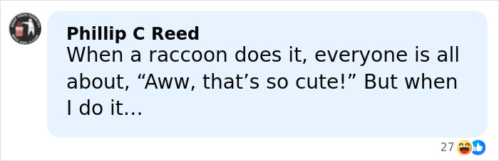 Comment about raccoon raiding liquor store and humorous reactions to it from Phillip C Reed on social media. Comment about raccoon raiding liquor store and humorous reactions to it from Phillip C Reed on social media.