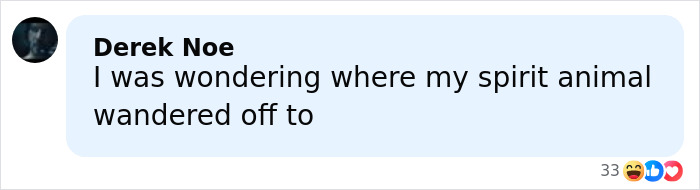 Comment on social media post reacting to raccoon raids liquor store and ends up passed out in bathroom, sparking hilarious reactions. Comment on social media post reacting to raccoon raids liquor store and ends up passed out in bathroom, sparking hilarious reactions.