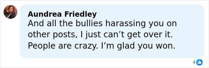 Comment praising the viral Christmas lawyer who took on the HOA and won, expressing disbelief at harassment faced.