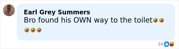 Comment by Earl Grey Summers reacting to raccoon raids liquor store and ends up passed out in the bathroom, with laughing emojis. Comment by Earl Grey Summers reacting to raccoon raids liquor store and ends up passed out in the bathroom, with laughing emojis.