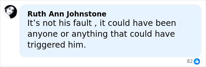 Comment by Ruth Ann Johnstone, discussing a triggering event related to Rob Reiner&rsquo;s son Nick at a party with Bill Hader.