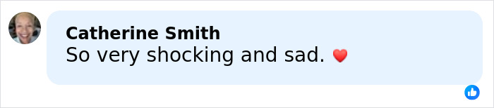 Facebook comment from Catherine Smith saying So very shocking and sad with a red heart emoji related to Rob Reiner's daughter post. Facebook comment from Catherine Smith saying So very shocking and sad with a red heart emoji related to Rob Reiner's daughter post.
