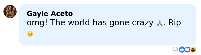 Comment by Gayle Aceto expressing shock and sadness over Rob Reiner's daughter’s heartbreaking post before parents found slain in LA home. Comment by Gayle Aceto expressing shock and sadness over Rob Reiner's daughter’s heartbreaking post before parents found slain in LA home.