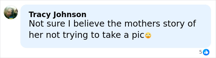 Facebook comment by Tracy Johnson expressing doubt about mom of terminally ill kids’ story amid Hilary Swank apology controversy.