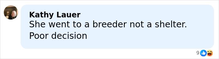 Comment from Kathy Lauer criticizing the decision to buy a dog with chopped-off ears from a breeder, not a shelter. Comment from Kathy Lauer criticizing the decision to buy a dog with chopped-off ears from a breeder, not a shelter.