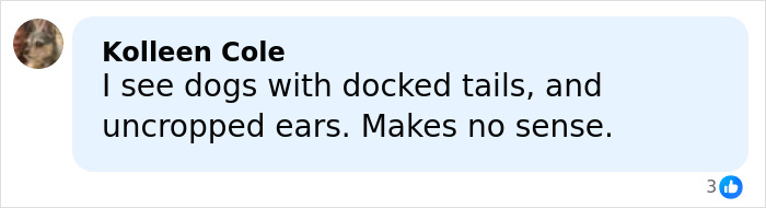Comment discussing dogs with docked tails and uncropped ears, addressing concerns about ear cropping and animal welfare. Comment discussing dogs with docked tails and uncropped ears, addressing concerns about ear cropping and animal welfare.