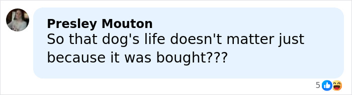 Comment criticizing the painful dog ear cropping after Simone Biles allegedly bought the dog, questioning its life value. Comment criticizing the painful dog ear cropping after Simone Biles allegedly bought the dog, questioning its life value.