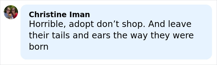 Comment from Christine Iman criticizing ear cropping and promoting adoption over shopping for dogs. Comment from Christine Iman criticizing ear cropping and promoting adoption over shopping for dogs.