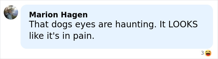 Facebook comment by Marion Hagen expressing concern over a dog's eyes that appear to show pain from ear cropping. Facebook comment by Marion Hagen expressing concern over a dog's eyes that appear to show pain from ear cropping.