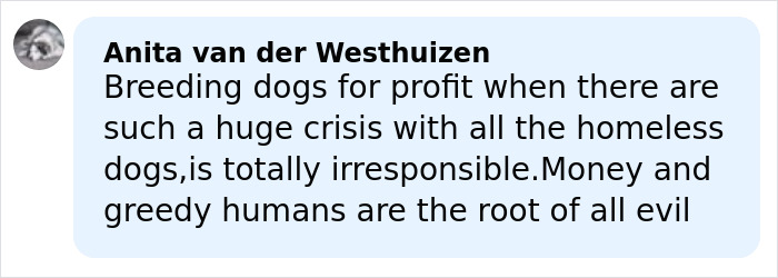 Comment by Anita van der Westhuizen expressing concern about breeding dogs for profit amid the homeless dog crisis. Comment by Anita van der Westhuizen expressing concern about breeding dogs for profit amid the homeless dog crisis.