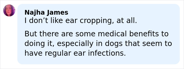 Commenter Najha James discusses ear cropping, mentioning medical benefits for dogs with frequent ear infections. Commenter Najha James discusses ear cropping, mentioning medical benefits for dogs with frequent ear infections.