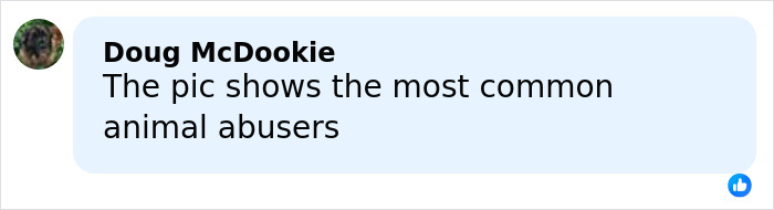 Comment on social media condemning animal a***e, referencing painful issues related to dogs with chopped-off ears. Comment on social media condemning animal a***e, referencing painful issues related to dogs with chopped-off ears.