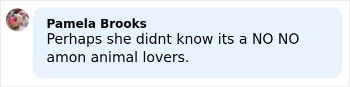 Comment from Pamela Brooks expressing concern about animal cruelty related to dogs with altered ears causing pain. Comment from Pamela Brooks expressing concern about animal cruelty related to dogs with altered ears causing pain.