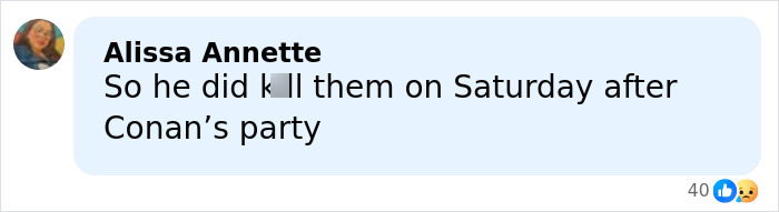 Comment by Alissa Annette on social media discussing events related to Nick Reiner's hotel room amid arrest for Father Rob's slaying. Comment by Alissa Annette on social media discussing events related to Nick Reiner's hotel room amid arrest for Father Rob's slaying.