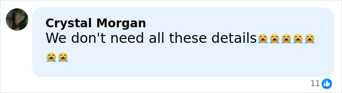 Comment by Crystal Morgan expressing distress over excessive details related to Nick Reiner's hotel room arrest case. Comment by Crystal Morgan expressing distress over excessive details related to Nick Reiner's hotel room arrest case.