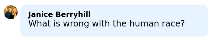 Comment by Janice Berryhill asking what is wrong with the human race, related to mom's chilling Google searches. Comment by Janice Berryhill asking what is wrong with the human race, related to mom's chilling Google searches.