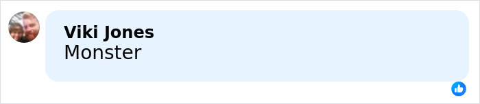 Comment reading Monster by Viki Jones on social media related to mom's chilling Google searches case. Comment reading Monster by Viki Jones on social media related to mom's chilling Google searches case.