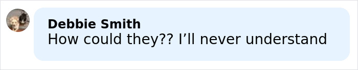Screenshot of a social media comment reacting to mom's chilling Google searches linked to 5-year-old daughter's slaying. Screenshot of a social media comment reacting to mom's chilling Google searches linked to 5-year-old daughter's slaying.