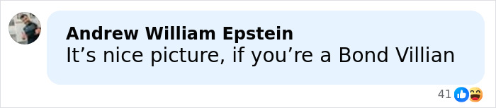 Comment on social media criticizing Melania and Donald Trump's Christmas card, calling it a nice picture if you're a villain.