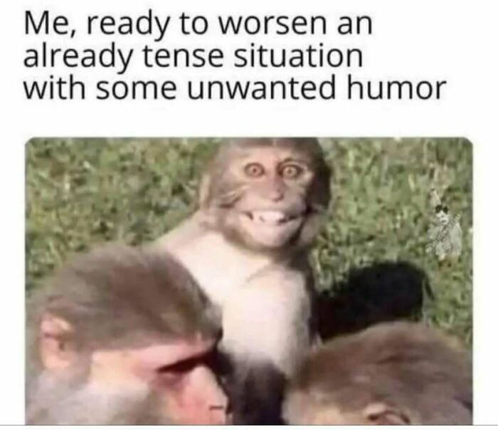 Monkey with a funny grin ready to worsen a tense situation, illustrating hilarious memes that make you forget stress.