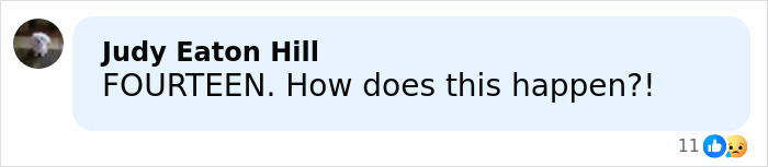 Screenshot of a social media comment reacting to a brutal attack on a 14-year-old girl involving two teens charged with homicide.