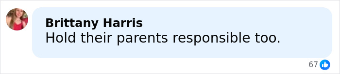 Comment by Brittany Harris urging to hold parents responsible in a discussion on two teens charged with homicide.