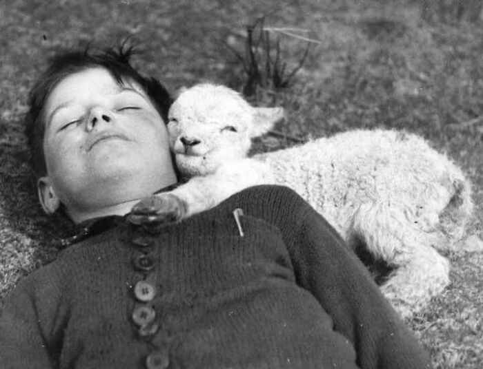 Boy lying on ground with a newborn lamb resting its head on his shoulder in a classic historical picture.