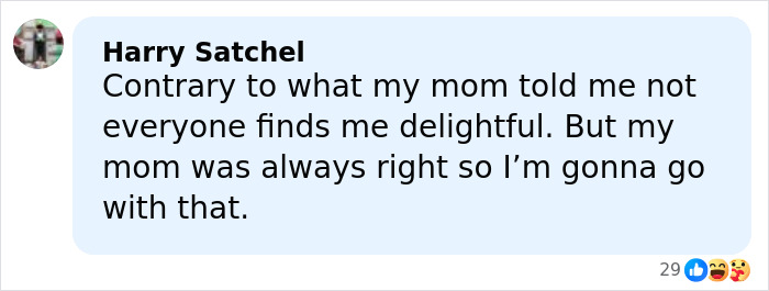 Comment by Harry Satchel discussing differing opinions about being delightful, with 29 reactions including likes and laughs.