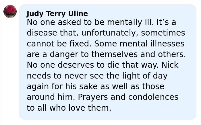 Comment discussing mental illness and safety concerns related to Nick, referencing Rob Reiner&rsquo;s daughter Romy being scared of brother Nick.