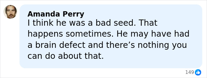 Screenshot of a comment discussing Rob Reiner&rsquo;s daughter Romy being scared of brother Nick since childhood.