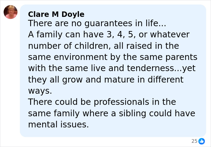 Comment by Clare M Doyle discussing family dynamics and siblings with potential mental issues, mentioning Rob Reiner&rsquo;s daughter Romy scared of brother Nick.