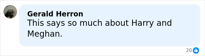 Screenshot of a social media comment about Harry and Meghan related to PR gurus revealing why they cut ties.