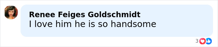 Comment saying I love him he is so handsome with a small profile picture of a woman and reaction icons below the comment.