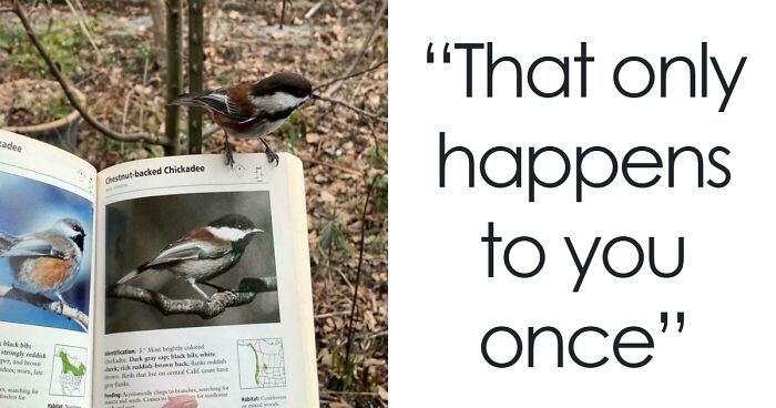 30 Heartwarming Photos That Will Make Your Whole Day Feel A Little Lighter