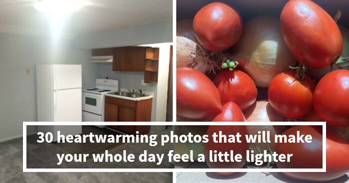 30 Feel-Good Photos You’ll Want to Bookmark For Instant Happiness