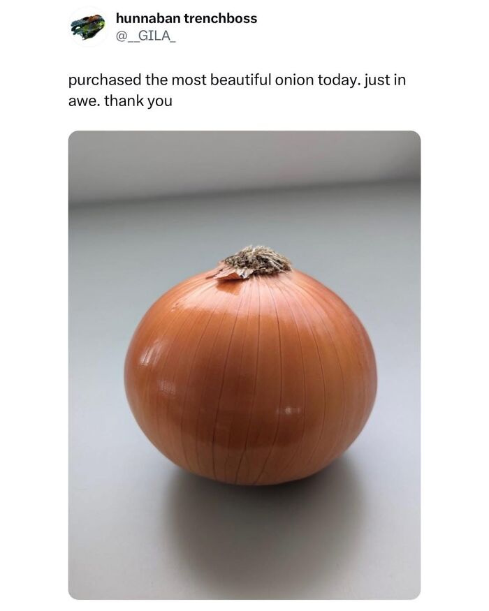 Fresh whole onion on a plain surface as part of hilarious food memes to laugh at while waiting for dinner.