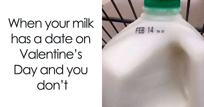63 Hilarious Food Memes To Laugh At While You Wait For Dinner To Be Served