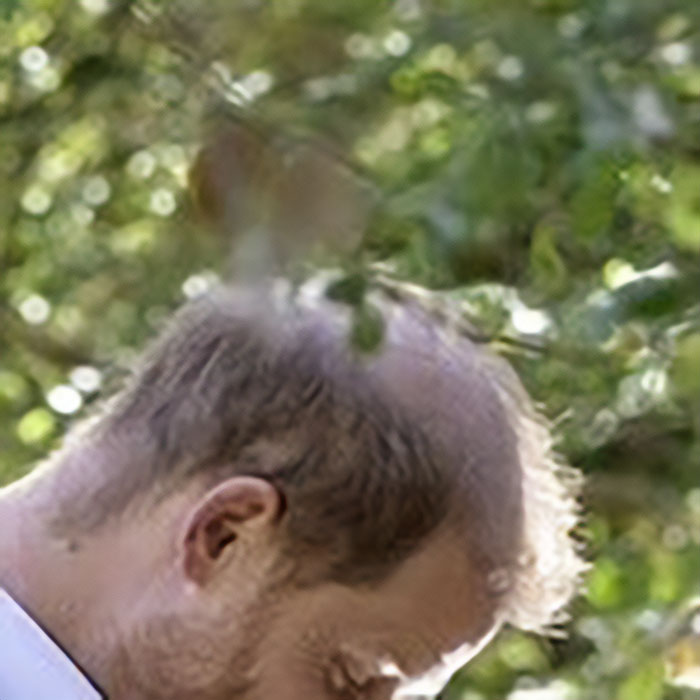 Prince Harry And Meghan Markle's Holiday Snap Slammed As "Manipulation" After Fans Spot Details