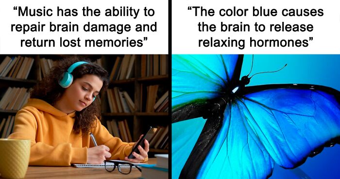 “Gray Hair Isn’t Caused By Age”: 80 Psychology Facts That Might Surprise You