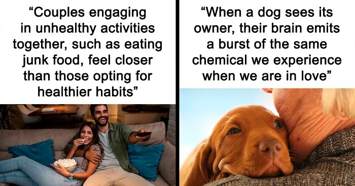 “Gray Hair Isn’t Caused By Age”: 80 Psychology Facts That Might Surprise You