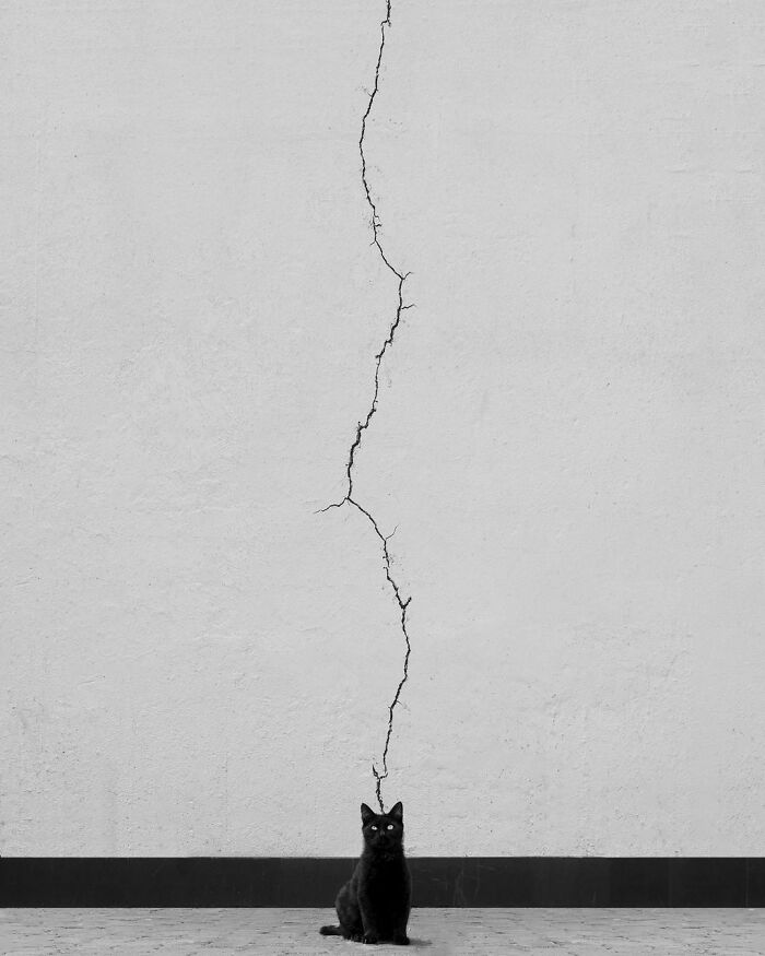 Black cat sitting below a crack in the wall in a minimalist photograph showcasing striking minimalism art by the photographer.