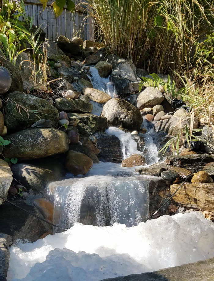 Rocky water stream surrounded by plants and frothy water, a calming nature scene amidst rage-inducing pics challenge.