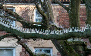 44 Rage-Inducing Pics You Might Not Be Stable Enough To See