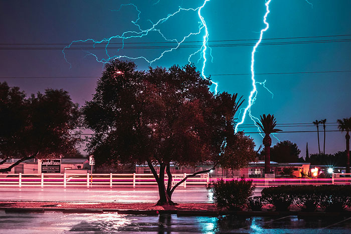 Lightning striking near trees and power lines during a night storm, illustrating random facts better than the news.