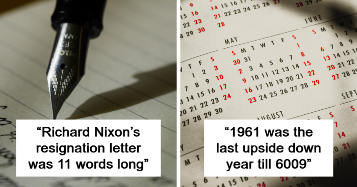 80 Random Facts For Anyone Who Needs Something To Talk About At The Christmas Table