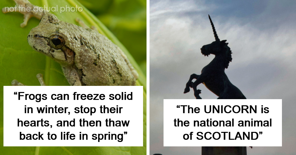 80 Truly Random Facts That Are Still Better Than The News