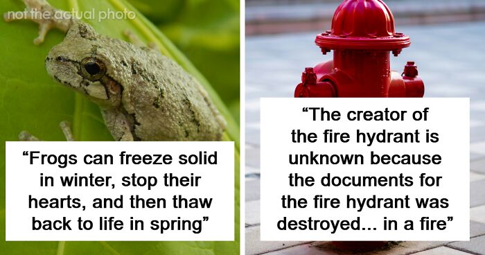80 Truly Random Facts That Are Still Better Than The News
