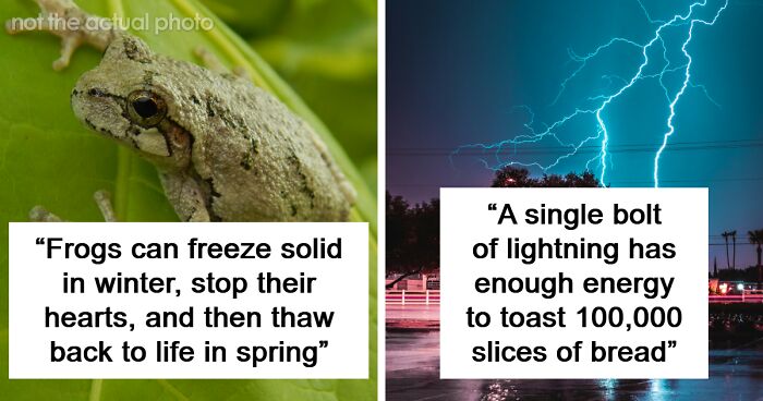 80 Truly Random Facts That Are Still Better Than The News