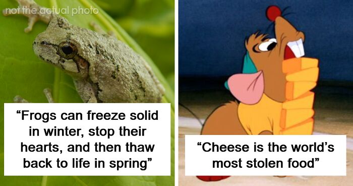 80 Truly Random Facts That Are Still Better Than The News